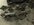image2 (1).jpeg