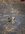 20220413_192340.jpg