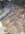 A1895C24-0FF7-472C-88AC-6B2798DC8E9A.jpeg