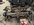 image1 (4).jpeg