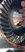 Screenshot_20220420-202800_Gallery.jpg