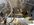 989A8300-A5E4-45D1-B6CA-FA7B313B57FE.jpeg