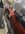 900F6A18-8D27-4978-B4B7-BFEE4952AF99.jpeg
