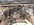 BFFAC47D-AEAF-4D37-9CD9-AA31F8324A48.jpeg