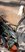 Screenshot_20220424-174146_OneDrive.jpg