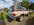 inspection_image_101.jpeg