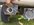 inspection_image_53.jpeg