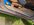 inspection_image_50.jpeg