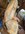 inspection_image_44.jpeg