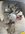 3B40B7BB-08A8-46FA-A1AB-13E0B1B188C8.jpeg