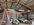 30FE84A9-A25D-4609-964A-28140ECABF22.jpeg