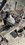 IMG_3853.jpeg