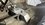IMG_3984.jpeg