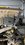IMG_4044.jpeg