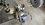 IMG_4329.jpeg