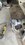 IMG_4452.jpeg