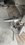 IMG_4455.jpeg