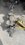 IMG_4468.jpeg