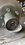 IMG_4536.jpeg