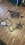 IMG_4464.jpeg