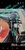 Screenshot_20220508-110334_Gallery.jpg