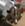 Screenshot_20220510-113303-885.png