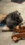 F5B5342B-1920-4813-A6B2-FB57A6C8BFCC.png