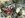 2642535_4_full.jpg