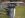 DSCN0855.JPG