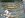 STP60094.JPG