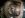 Pinion001.JPG