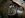 Pinion004.JPG