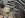 img0585ry3.jpg