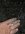 607FA11F-0BD6-46DA-AFF1-E32B8F505461.jpeg