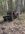 B8BDBC4B-42D5-4D73-AD1C-160A90ECA893.jpeg