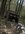 3D614242-206E-4FF4-A926-ECFC3888E00D.jpeg