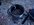 8B2B6517-85AE-4B88-B721-BBA5EFED3D64.jpeg