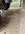 490B765D-DE1F-494B-A401-0D99DF657E40.jpeg