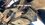83815F2F-9E0C-404F-956F-3E17CEF897C0.jpeg