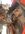 IMG_3881.jpg IMG_3881.jpg