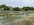 AC92344A-E264-4269-BD2F-839BCDF3020D.jpeg