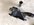 image0(10).jpeg