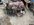 86BE0111-B554-4226-ABCF-2A871D21B678.jpeg