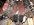 CCC1A0DD-69DA-4EC9-A4ED-8FB5848B7C41.jpeg