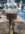 1653870424475.png