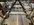 16DDDD45-8647-43D8-B404-BF73ECAEF438.jpeg