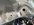 8DC0EACB-490C-4E50-A5EC-86F1DCC4E73A.jpeg