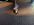 1654132031732.png