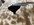 518A111E-52AB-4CF5-9438-80350BC18606.jpeg