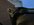 2BDA6CD5-49B1-4AEA-9DA1-ACA23F798030.jpeg